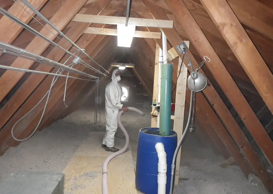 Worker in protective coveralls replacing contaminated insulation in an attic after rats